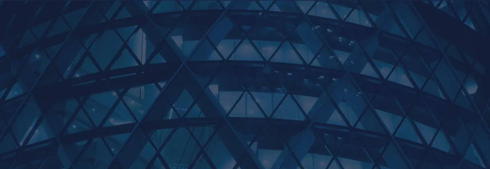 Experienced Leadership