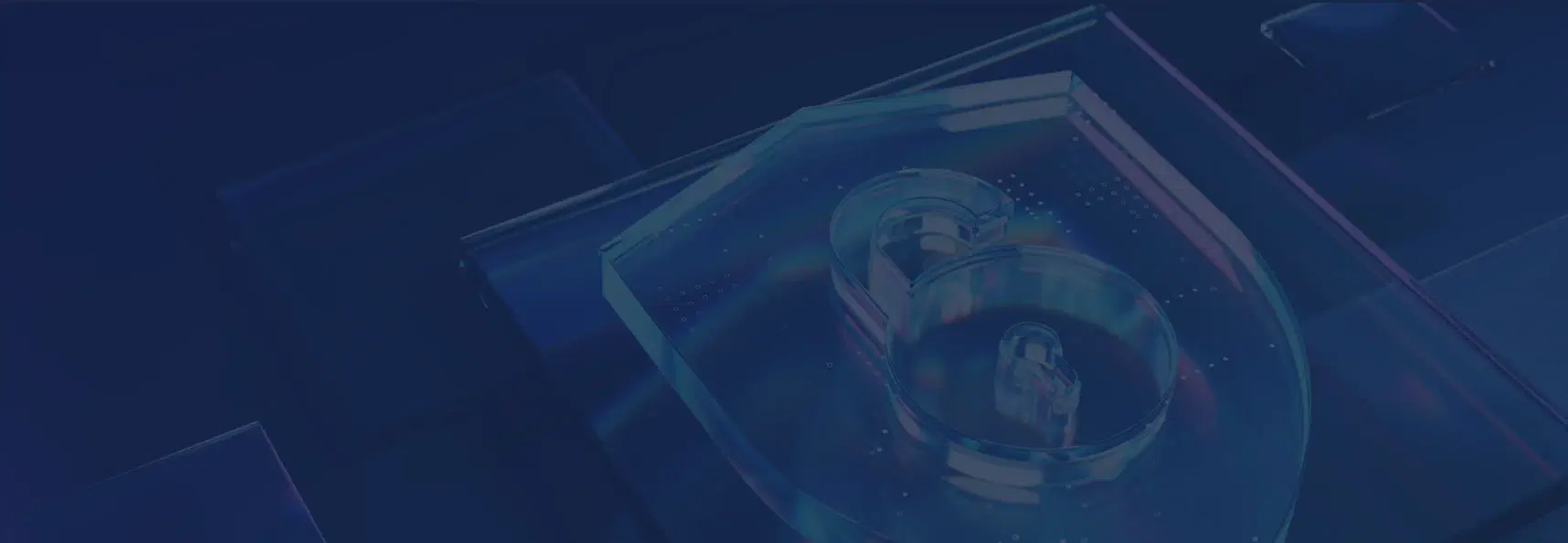 Robust Risk Management